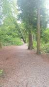Clonbur + Overnight stay + Breakfast + 2 hr Walkin