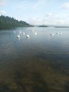 Clonbur + Overnight stay + Breakfast + 2 hr Walkin